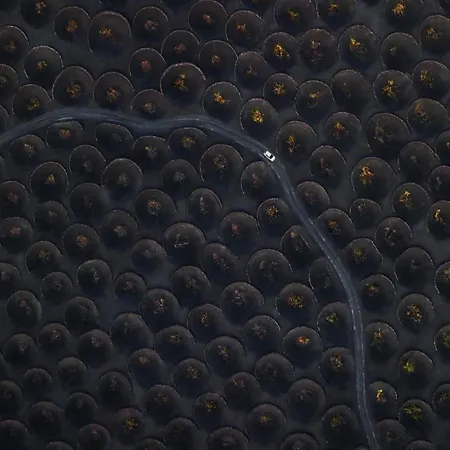 Villa Casa Amarillo Del Sol