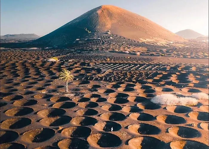 Casa Amarillo Del Sol 别墅 *