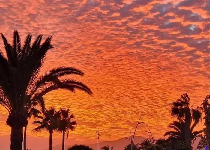 别墅 Casa Amarillo Del Sol *